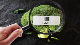 За сокрытие ГМО в продуктах будут штрафовать на миллион рублей